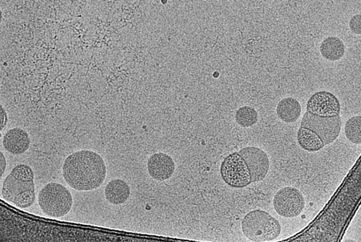 167_13035-1_S25_AG1XM3_1045_20260203